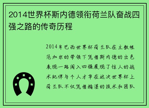 2014世界杯斯内德领衔荷兰队奋战四强之路的传奇历程